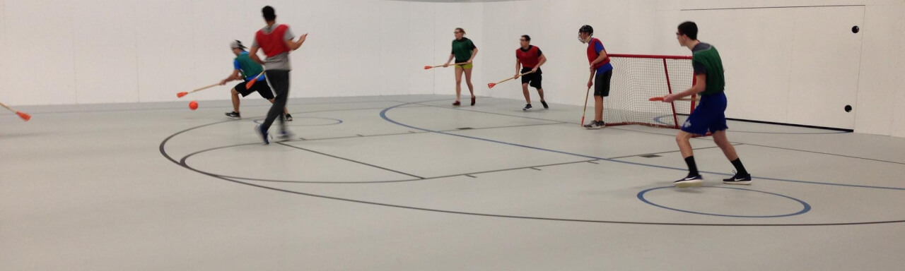 People Playing Broomball